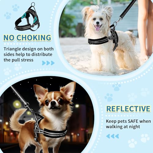 SlowTon No Pull Small Dog Harness and Leash Set, Puppy Soft Vest Harness Neck & Chest Adjustable, Reflective Lightweight Harness & Anti-Twist Pet Lead Combo for Small Medium Dogs (Black, XXS) - color: A-Black - With Front Clip, size: XX-Small