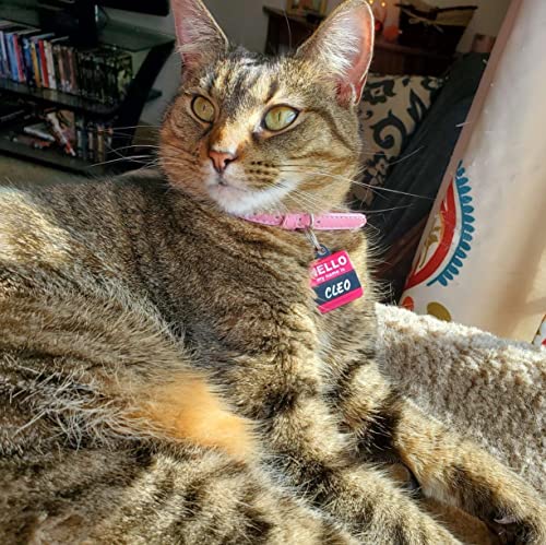 PUPTECK 2 PCS Soft Genuine Leather Cat Kitten Collar with Bells Adjustable for Girl Boy Cats Puppy, Rose Pink - color: Rose&Pink