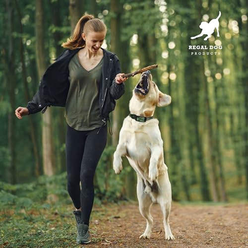 Regal Dog Products Medium Green Camo Hunting Dog Collar with Custom Engraved Name Plate and Heavy Duty Black Hardware | Waterproof Personalized Dog Collars | Other Sizes for Small, Medium & Large - size: Medium, style: Green Camouflage