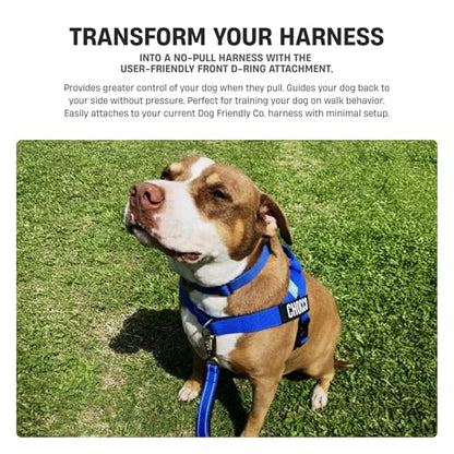 Dog Friendly Co. No-Pull D-Ring Harness Attachment | Front D-Ring Attachment for Greater Control, Prevents Pulling, Great for Training, Easily Attaches to Harness | Size XXS-XS - size: XXS-XS