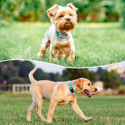 Reflective Dog Collar Padded with Soft Neoprene Breathable Quick Release Basic Dog Collars for Puppy Small Dogs Sky Blue - color: Sky Blue, size: XS:width 5/8"neck 8-10.5"