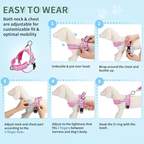 Lukovee No Pull Dog Harness and Leash Set, Soft Padded Small Dog Harness, Neck & Chest Adjustable Reflective Vest Puppy Harness with 4ft Lightweight Anti-Twist Dog Leash for Small Dogs (XS, Fuschia) - color: Fuchsia - with Stripe, size: XS ( Chest 14'' ~