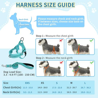 SlowTon No Pull Small Dog Harness and Leash Set, Puppy Soft Vest Harness Neck & Chest Adjustable, Reflective Lightweight Harness & Anti-Twist Pet Lead Combo for Small Medium Dogs (BL-Front Clip,XS) - color: B-Teal - With Front Clip, size: X-Small