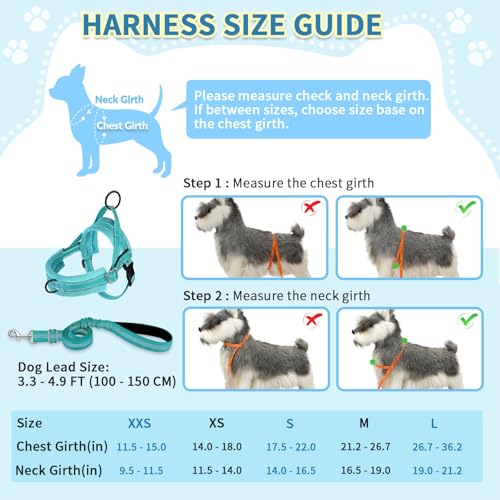 SlowTon No Pull Small Dog Harness and Leash Set, Puppy Soft Vest Harness Neck & Chest Adjustable, Reflective Lightweight Harness & Anti-Twist Pet Lead Combo for Small Medium Dogs(BL-Front Clip,S) - color: B-Teal - With Front Clip, size: Small