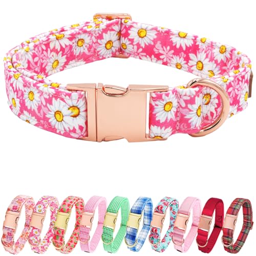Tunkoo Dog Collar Pink Daisy with Rose Gold Metal Buckle - Soft Cotton Floral Design - Premium Style for Spring & Summer Small Medium Large Dogs, M - color: E - Pink Daisy, size: Medium