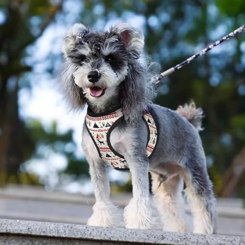 Reindeer Christmas Pet Harness Escape Proof Dog Harness Adjustable Mesh Padded Reflective Dog Vest Harness and Leash Set Medium - color: Style 10, size: Medium