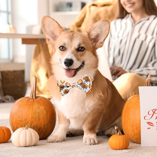 Thanksgiving Dog Collar with Bow Tie,Turkey and Rainbow Pattern Holiday Pet Collar Set for Small Medium Large Dogs, Adjustable Festive Fall Puppies - color: Thanksgiving Turkey, size: Medium-(12.5-20") Neck * 3/4" Wide