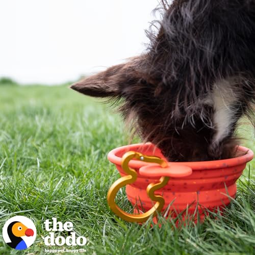 The Dodo Collapsible Dog Bowl, Red; Travel Dog Bowl That Folds Flat and Clips with Carabiner for Easy Storage and Carry - color: Red