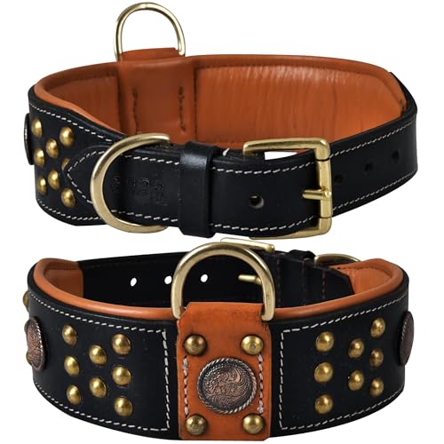 Premium Leather ‘Cupola’ Series Collar for Large Dogs | Celtic Conchos & Gold Dome Rivets | 2 Inch Wide | Soft, Heavy Duty, Cushion Padding | (L (Neck Size 18.5"-22.5"), Sable Black) - color: Sable Black, size: L (Neck Size 18.5"-22.5")