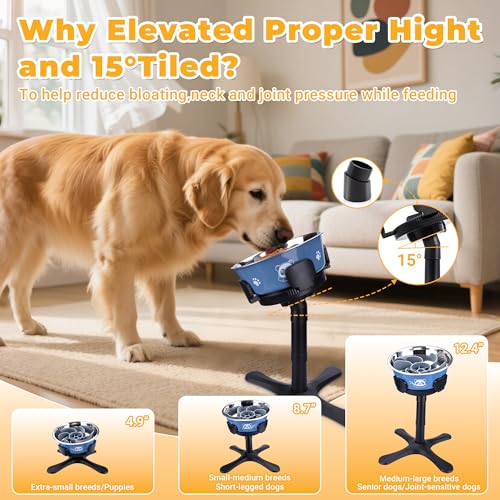 Elevated Slow Feeder Dog Bowl Adjustable Stand,Tilted ABS Base,Fits 5.5-9.5" Bowls, Anti-Spill & Non-Slip, Heavy Duty for Med/Large Dogs(with Stainless Steel Bowls 2 Pack) - size: B -Slow Feeder Insert 2