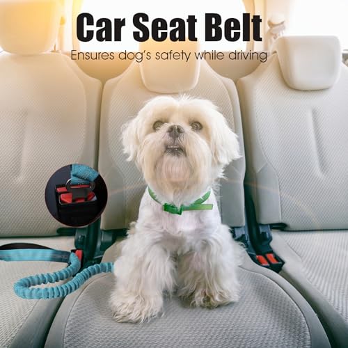 BUMBIN 6Ft Dog Leash Large Dogs, Bungee Dog Leash with 2 Handles, Heavy Duty Leashes for Medium Small Dogs, No Pull Shock Absorbing，with Car Seat Belt for Training, Blue - color: Blue