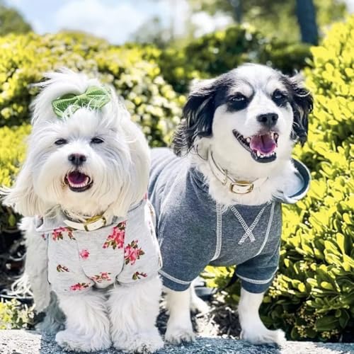 Blueberry Pet Essentials Dog Hoodie – 14 inch, Cotton‑Blend Sweatshirt with Hood, Charcoal Grey, Machine‑Washable Small‑Dog Jersey - color: Dog Hoodie - Charcoal Grey, size: 14 inch (Pack of 1)
