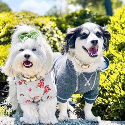 Blueberry Pet Essentials Soft & Comfy Better Basic Cotton Blend Dog Hoodie Sweatshirt in Charcoal Grey, Back Length 16", Pack of 1 Jacket for Dogs - color: Dog Hoodie - Charcoal Grey, size: 16 inch (Pack of 1)