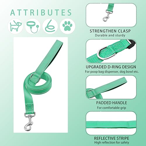 Reflective Dog Collar with Safety Locking Buckle, Adjustable Soft Breathable Nylon Collars for Small, Medium and Large Dogs(Collar+Leash XS Width 3/8" Turquoise) - color: Turquoise, size: XX-Small (Width 3/8")