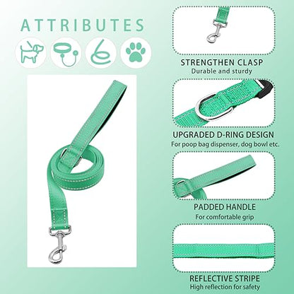 Reflective Dog Collar with Safety Locking Buckle, Adjustable Soft Breathable Nylon Collars for Small, Medium and Large Dogs(Collar+Leash XS Width 3/8" Turquoise) - color: Turquoise, size: XX-Small (Width 3/8")