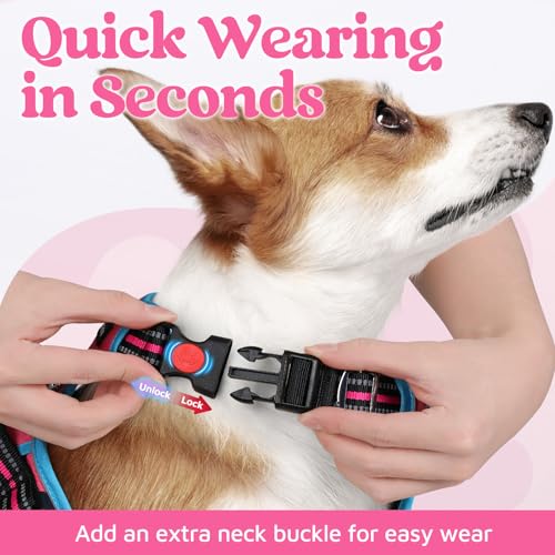 rabbitgoo Dog Harness Small Sized, No Pull Dog Vest with 3 Buckles, Adjustable Soft Padded Pet Harness with Easy Control Handle and Reflective Strips, Rose Pink & Blue, S - color: Rose Pink & Blue, size: Small