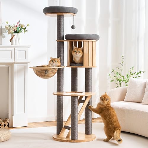 HITTITE Solid Wood Cat Tree Tower with Scratching Post, 61 Inches Tall Cat Towers with Capsule and Condo, Modern Cat Tower with Climbing Ladder and Removable Top Bed for Indoor Cats.Grey - color: Grey, size: 61in