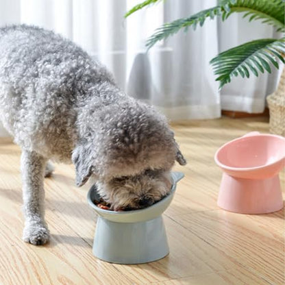Tilted Raised Posture for Cat Food Bowl Neck for Protection Anti Vomiting 45 Degree Elevated Slanted Stand Bowls for Cat Tilted Bowl Diameter Approx.13.7cm/5.39in (Baby Blue)