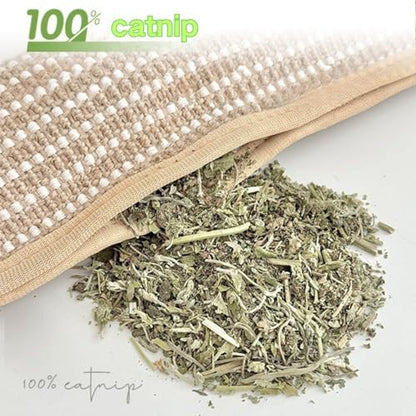 Catnip Kicker Pillow, Interactive Catnip Chew Toy, Soft Scratchable Material Feeds Your Cat’s Natural Instincts, Teeth Cleaning & Anxiety Relief (Chirping Bird Design * 3PCS) - color: Chirping bird design * 3PCS