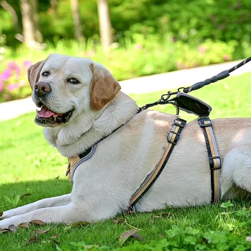 Escape Proof Dog Harness - No Pull Dog Harness with Handle, Soft Padded Reflective and Adjustable Full Body Pet Harness Vest for Medium Large Dogs Walking Hiking Training, Beige Medium - color: Beige, size: Medium