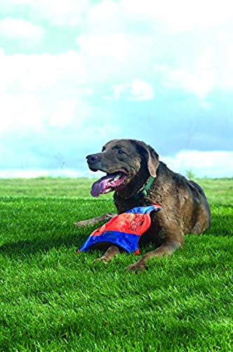 Chuckit! Paraflight Flying Disc Dog Toy, Small (6.75") and Chuckit! Flying Squirrel Fetch Dog Toy, Size Medium (9.5" Diameter) - size: Small, style: Flyer + Dog Toy, (Orange/Blue)