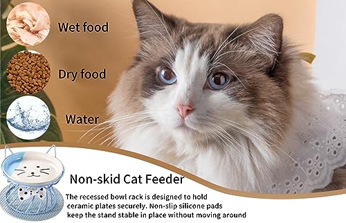 2PCS Ceramic Shallow Cat Food Dishes with Non-Slip Mat, Elevated Cat Food Bowl with Raised Metal Stand, Small Dog Bowl, Whisker Fatigue Pet Food Plate, Dishwasher Safe - color: Pink+Blue