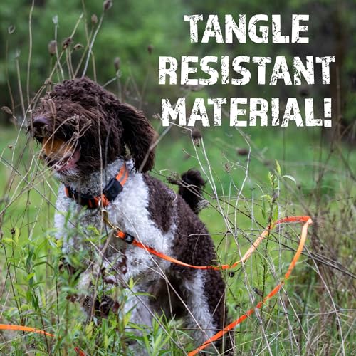 RigidBuilt Tracking Leash & Long Check Cord | 30 Feet | Waterproof Standard Dog Leash | Heavy Duty & Easy to Clean Hunting Dog Accessories - size: Large (Over 40 lbs)
