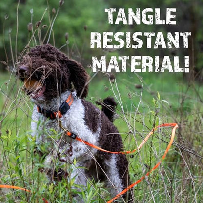 RigidBuilt Tracking Leash & Long Check Cord | 30 Feet | Waterproof Standard Dog Leash | Heavy Duty & Easy to Clean Hunting Dog Accessories - size: Large (Over 40 lbs)