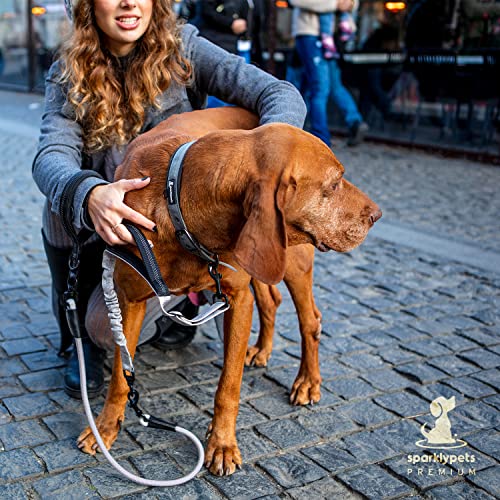 SparklyPets - Heavy Duty Bungee Rope Leash for Large and Medium Dogs - No Pull, Shock Absorber Long Dog Training Lead - No Slip Reflective Line for Outside (5.5 Ft Bungee Leash) - color: Adjustable Premium Silver