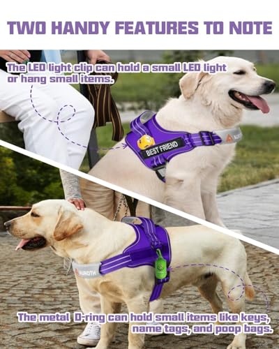 AUROTH Dog Harness and Leash Set, Soft Padded Service Dog Vest with 5.25FT Dog Leash, No Choke, Easy On Pet Vest, Adjustable Reflective No Pull Pet Vest Medium Sized Dog, Easy Walking and Training - color: Purple, size: Medium
