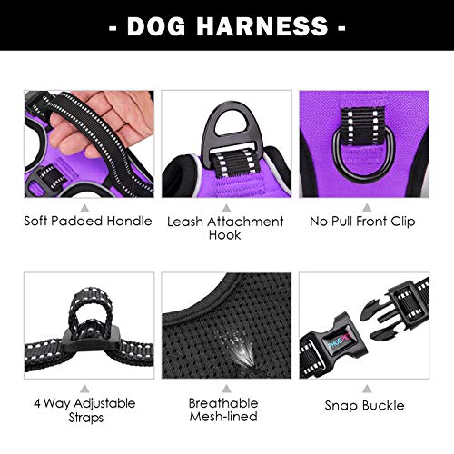 PHOEPET No Pull Dog Harnesses for Small Dogs Reflective Adjustable Front Clip Vest with Handle 2 Metal Rings 3 Buckles [Easy to Put on & Take Off](XS, Purple) - color: Purple, size: Extra Small