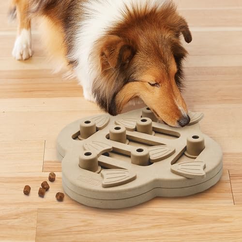 Outward Hound by Nina Ottosson Dog Hide N' Slide Treat Puzzle Enrichment Toy, Level 2 Intermediate, Tan, Composite - color: Dog Hide-N-Slide (Tan)