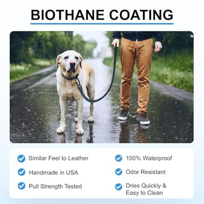 Essential Biothane Dog Leash for Small, Large, Medium Dogs - Waterproof - Dog Training - Locking Carabiner - 1 in x 5 ft Long - Mint Green - color: Mint Green, size: 1 In x 5 Feet