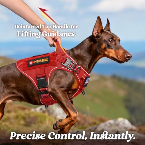 rabbitgoo Tactical Dog Harness Small Sized, No Pull Upgraded Reflective Heavy Duty Molle Vest with Handle, Adjustable Military Service Dog Vest for Walking Hiking Training, Red, S - color: Red Reflective, size: Small