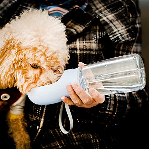 Mr. Pen- Portable Dog Water Bottle, 19 oz, Large, Leak Proof Puppy Water Dispenser with Drinking Feeder for Pets, Outdoor Walking, Hiking, Travel, Not Dishwasher Safe - color: Blue