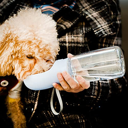 Mr. Pen- Portable Dog Water Bottle, 19 oz, Large, Leak Proof Puppy Water Dispenser with Drinking Feeder for Pets, Outdoor Walking, Hiking, Travel, Not Dishwasher Safe - color: Blue