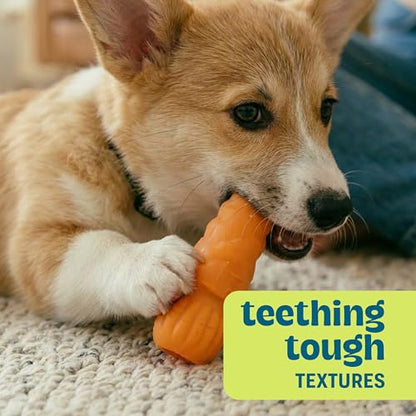 Flex-Force Veggie Chew Dog Toys, Multi-Textured & Floats, Multiple Scents for Sensory Play, Moderate Chewers, Teething Puppies and Small Breeds up to 25 lbs, 3-Pack, 4.9"