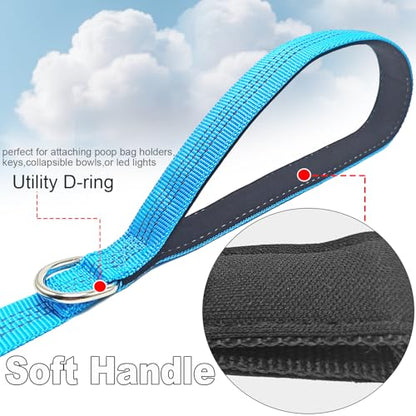 Bungee Dog Leash- 5FT Shock Absorbing & Reflective Nylon Leash | Anti-Pull Training for Small/Medium Dogs | 2cm Wide, 6 Colors (Teal) - color: Teal