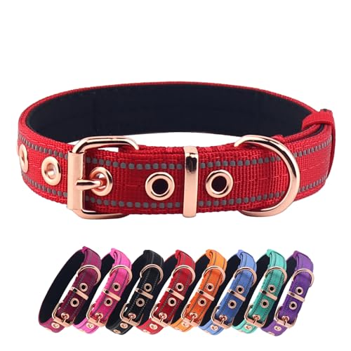 Neoprene Padded Dog Collar, Nylon Collar for Small to Large Dogs, Heavy Duty with Metal Buckle, Reflective(Medium, Red) - color: Red, size: Medium (Pack of 1)