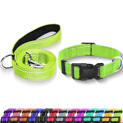 Reflective Dog Collar with Safety Locking Buckle, Adjustable Soft Breathable Nylon Collars for Small, Medium and Large Dogs(Collar+Leash XS Width 3/8" Green) - color: Green, size: XX-Small (Width 3/8")