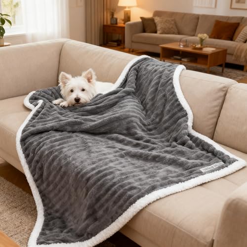 Waterproof Dog Blanket Soft Pet Cat Blanket Cozy Calming Sherpa Corduroy Fleece Blanket Reversible Furniture Bed Protector for Small Dogs Machine Washable Puppy Blanket, Drak Grey 50x60 in - color: Drak Grey, size: XL/50"x60"