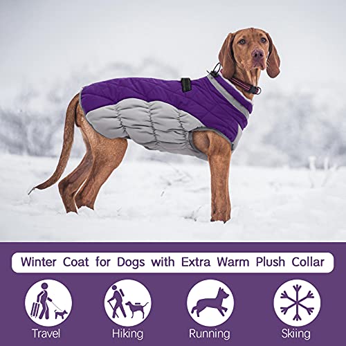 FUAMEY Dog Coat for Small Dogs,Waterproof Dog Winter Jacket with Harness Built in Puppy Cold Weather Coats Reflective Pet Vest with Zipper Warm Fleece Dogs Snowsuit Windproof Purple XS - color: Purple, size: XS(chest:14in)