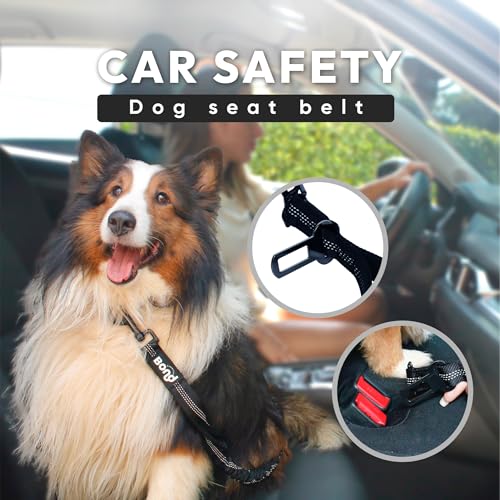 Bond - Blue Dog Running Leash Hands Free with Pouch, Hands Free Leash for Large Dogs, Pet Lead Running Belt for Walking & Canicross Belt, Includes Waist Jogging Fanny Pack & Pet Car Seat Belt Safety - color: Blue