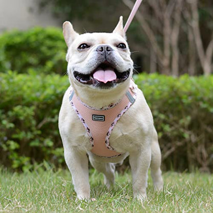 Mercano Soft Mesh Dog Harness and Leash Set, Step-in Reflective Breathable Lightweight Vest Harnesses with Safety Buckle for Small Dogs, Cats (Champagne, XXS) - color: Champagne, size: XXS (Chest: 9.5"-11.2")