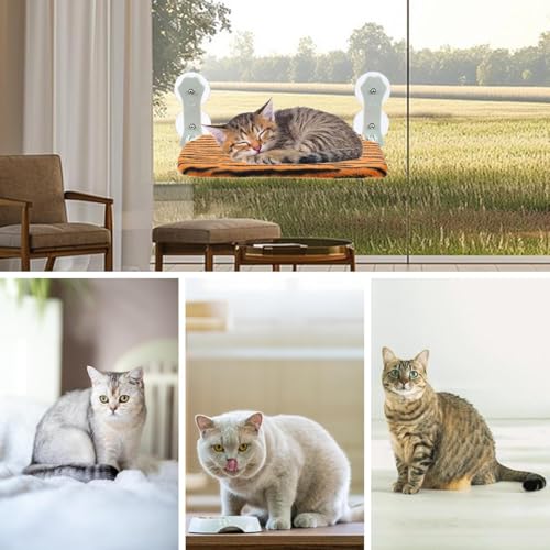 Cat Window Bed,Cordless Foldable Breathable Cushion Seat | Window Cat Bed with Strong Suction Cup | for Small Medium Large Sized Pet Kitten Sleep Rest Home Indoor Living Room Sill