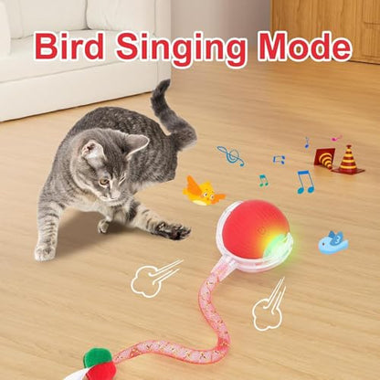 Speed 2.0 Tail Interactive Cat Toys for Indoor Cats, Chirping & Motion Activate Ca t Toy, Smart Kitten Rolling Ball Moving Ball Toys, Rechargeable Dog Cat Bal l for Enrichment Exercise (Grey) - color: Grey