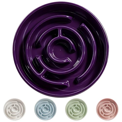 Ceramic Slow Feeder Dog Bowl,1.5 Cups Pet Slow Feeder for Small and Medium Breed,Puzzle Dog Food Dish,Anti-Gulping,Stop Bloat,Preventing Choking(Purple) - color: Purple
