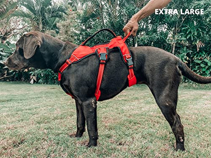 Tuff Pupper Escape Proof No Escape Dog Harness | 5 Point Adjustable Fit Harness for Dogs | Padded Dog Harnesses | Handle Dog Lift Harnesses - color: March Red, size: X-Large
