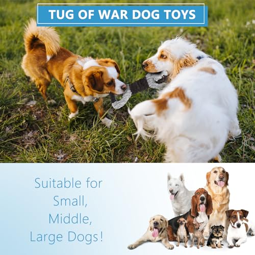 Letsmeet Plush Dog Squeak Toys with Crinkle Paper - Pull Interactive Tug of War Dog Toy, Great for Dental Health, Strengthening Bonds and Anxiety Relief for Puppies, Small, Medium, Large Dogs - color: Grey