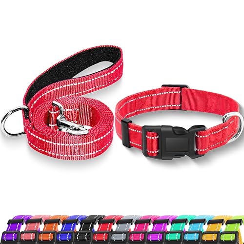 Reflective Dog Collar with Safety Locking Buckle, Adjustable Soft Breathable Nylon Collars for Small, Medium and Large Dogs(Collar+Leash XS Width 3/8" Red) - color: Red, size: XX-Small (Width 3/8")